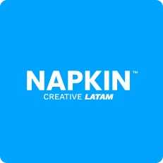Napkin-Latam